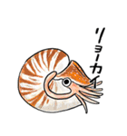 海のいきもの川のいきもの（個別スタンプ：10）
