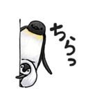 海のいきもの川のいきもの（個別スタンプ：15）