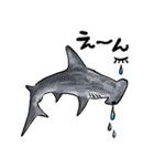 海のいきもの川のいきもの（個別スタンプ：22）