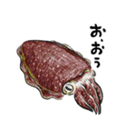海のいきもの川のいきもの（個別スタンプ：27）