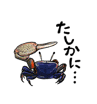 海のいきもの川のいきもの（個別スタンプ：28）