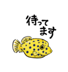 海のいきもの川のいきもの（個別スタンプ：33）