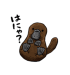海のいきもの川のいきもの（個別スタンプ：36）