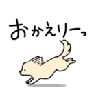 チワワとおだんごヘアの女の子♪日常（個別スタンプ：4）