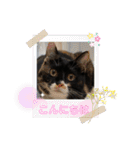 あずきちゃんとあんずちゃんのスタンプ（個別スタンプ：2）