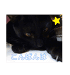 あずきちゃんとあんずちゃんのスタンプ（個別スタンプ：5）