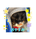あずきちゃんとあんずちゃんのスタンプ（個別スタンプ：6）