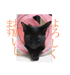 あずきちゃんとあんずちゃんのスタンプ（個別スタンプ：8）