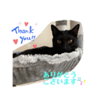 あずきちゃんとあんずちゃんのスタンプ（個別スタンプ：13）