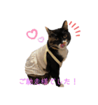 あずきちゃんとあんずちゃんのスタンプ（個別スタンプ：15）