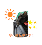 あずきちゃんとあんずちゃんのスタンプ（個別スタンプ：23）