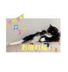 あずきちゃんとあんずちゃんのスタンプ（個別スタンプ：24）