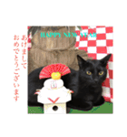 あずきちゃんとあんずちゃんのスタンプ（個別スタンプ：32）