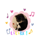 あずきちゃんとあんずちゃんのスタンプ（個別スタンプ：36）