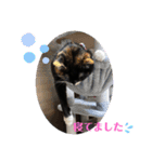 あずきちゃんとあんずちゃんのスタンプ（個別スタンプ：40）