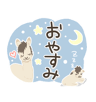 ひめちゃんスタンプ★毎日使える★（個別スタンプ：10）