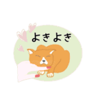 ねこスタンプ(日常会話)（個別スタンプ：20）