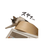 りおこは（個別スタンプ：5）