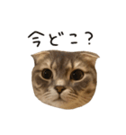 りおこは（個別スタンプ：13）