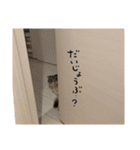 りおこは（個別スタンプ：16）