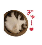 りおこは（個別スタンプ：24）