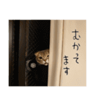 りおこは（個別スタンプ：27）
