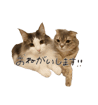 りおこは（個別スタンプ：28）