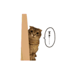 りおこは（個別スタンプ：31）