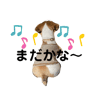 わたし、リリィ！③（個別スタンプ：13）