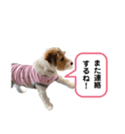 わたし、リリィ！③（個別スタンプ：16）