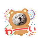 イチゴクマあみぐるみスタンプ（個別スタンプ：15）