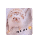 はりんの日常③（個別スタンプ：10）