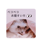 はりんの日常③（個別スタンプ：11）
