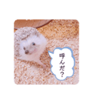 はりんの日常③（個別スタンプ：13）