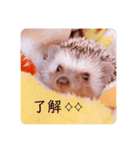 はりんの日常③（個別スタンプ：14）