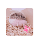 はりんの日常③（個別スタンプ：16）