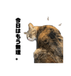 になはるちび〜きょうシリーズ〜（個別スタンプ：1）
