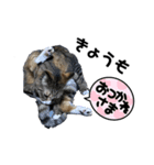 になはるちび〜きょうシリーズ〜（個別スタンプ：6）