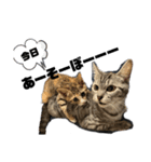 になはるちび〜きょうシリーズ〜（個別スタンプ：8）