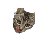 になはるちび〜きょうシリーズ2〜（個別スタンプ：2）