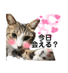 になはるちび〜きょうシリーズ2〜（個別スタンプ：3）
