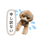 我が家のちくわ②（個別スタンプ：1）