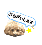 我が家のちくわ②（個別スタンプ：3）