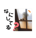 我が家のちくわ②（個別スタンプ：6）