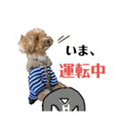 我が家のちくわ②（個別スタンプ：13）