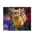 kisukes(字幕)（個別スタンプ：8）