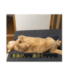 kisukes(字幕)（個別スタンプ：16）