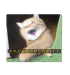 kisukes(字幕)（個別スタンプ：20）