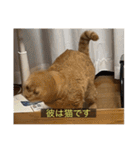 kisukes(字幕)（個別スタンプ：31）