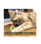 kisukes(字幕)（個別スタンプ：32）